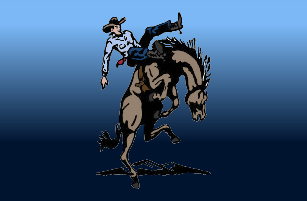 Hawk Logo